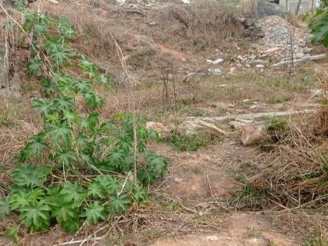 Terreno / Lote para Venda em Vespasiano/MG Nova Pampulha