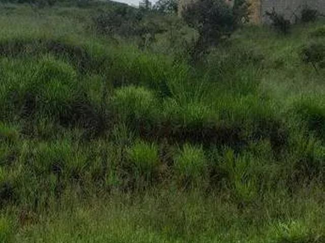 Terreno / Lote para Venda em Vespasiano/MG São Damião