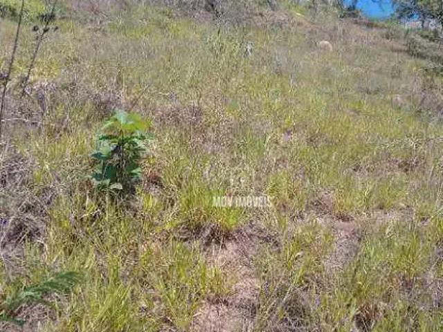 Terreno / Lote para Venda em Vespasiano/MG São Damião