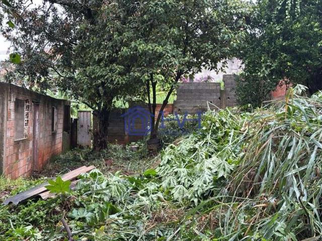Terreno / Lote para Venda em Vespasiano/MG Pouso Alegre