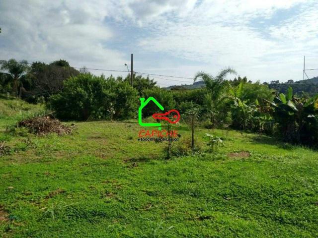 Terreno / Lote para Venda em Vinhedo/SP Cachoeira