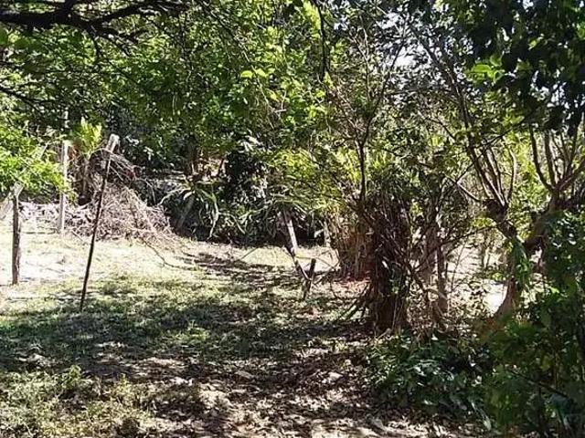 Terreno / Lote para Venda em Vinhedo/SP Centro