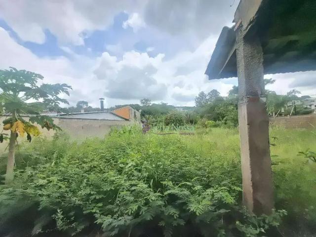 Terreno / Lote para Venda em Vinhedo/SP Bosque