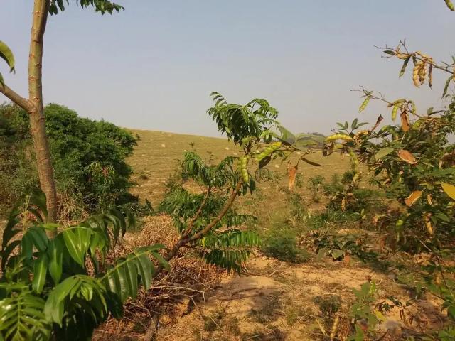 Terreno / Lote para Venda em Vinhedo/SP Santa Cândida