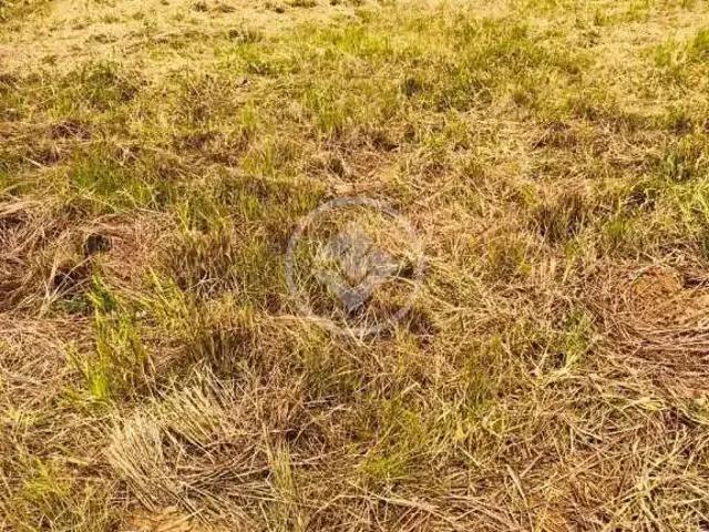 Terreno / Lote para Venda em Vinhedo/SP Santa Rosa