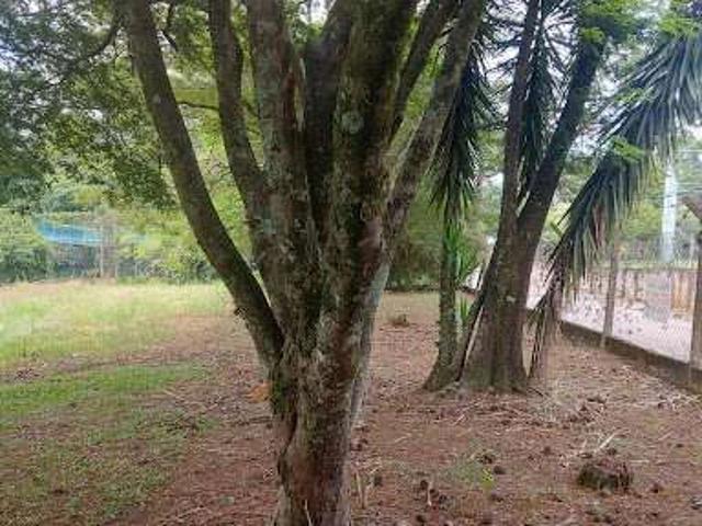 Terreno / Lote para Venda em Vinhedo/SP Pinheirinho