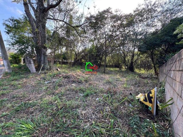 Terreno / Lote para Venda em Vinhedo/SP Pinheirinho