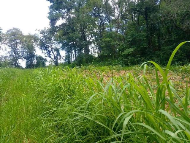Terreno / Lote para Venda em Vinhedo/SP Vista Alegre