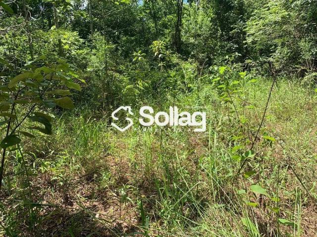 Terreno / Lote para Venda em Vinhedo/SP Vista Alegre