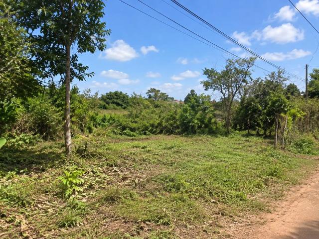 Terreno / Lote para Venda em Viamão/RS Tarumã