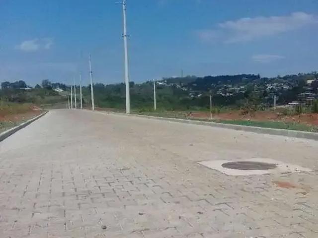 Terreno / Lote para Venda em Viamão/RS Tarumã