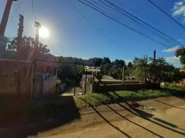 Terreno / Lote para Venda em Viamão/RS Tarumã