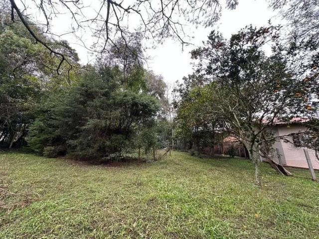 Terreno / Lote para Venda em Viamão/RS Tarumã
