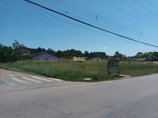 Terreno / Lote para Venda em Viamão/RS Tarumã