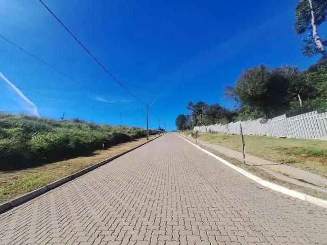Terreno / Lote para Venda em Viamão/RS Tarumã
