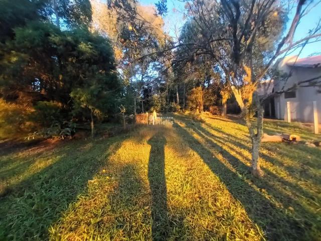 Terreno / Lote para Venda em Viamão/RS Tarumã 3 Quartos