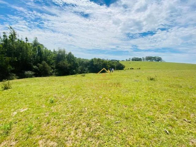 Terreno / Lote para Venda em Viamão/RS Águas Claras