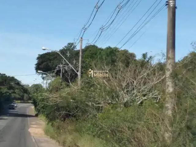 Terreno / Lote para Venda em Viamão/RS Águas Claras