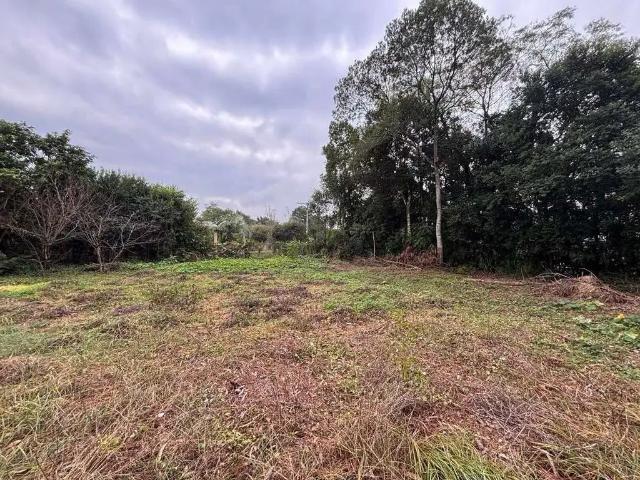 Terreno / Lote para Venda em Viamão/RS Águas Claras