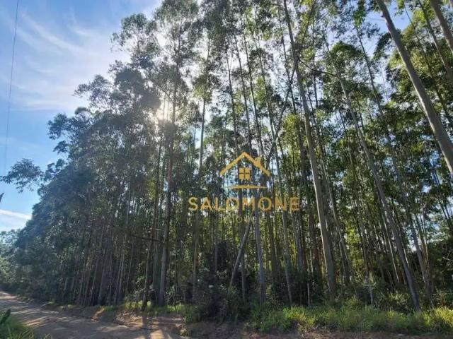 Terreno / Lote para Venda em Viamão/RS Águas Claras