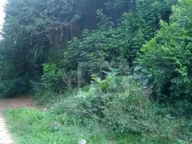 Terreno / Lote para Venda em Viamão/RS Águas Claras