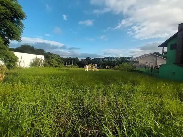 Terreno / Lote para Venda em Viamão/RS Centro