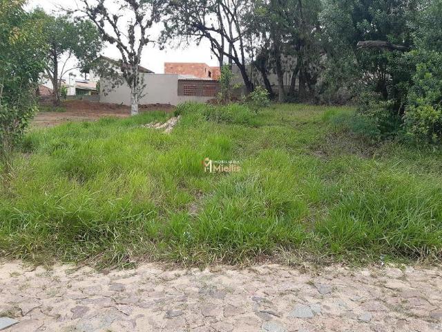 Terreno / Lote para Venda em Viamão/RS Centro
