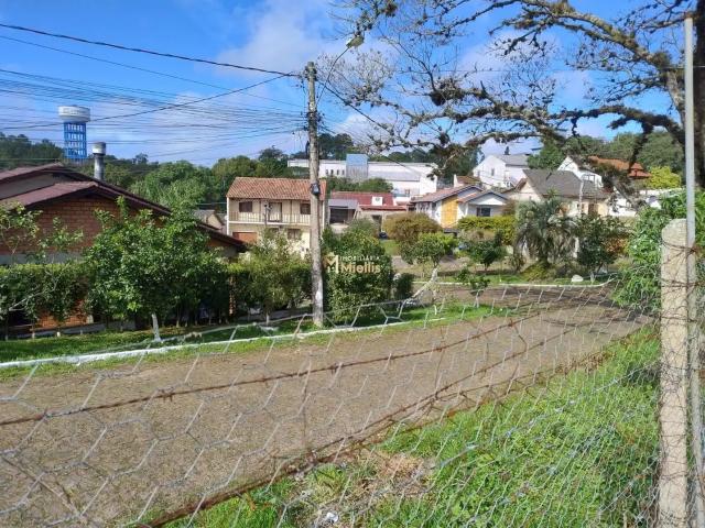 Terreno / Lote para Venda em Viamão/RS Centro
