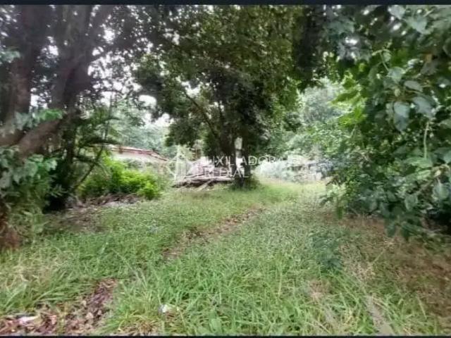 Terreno / Lote para Venda em Viamão/RS Centro
