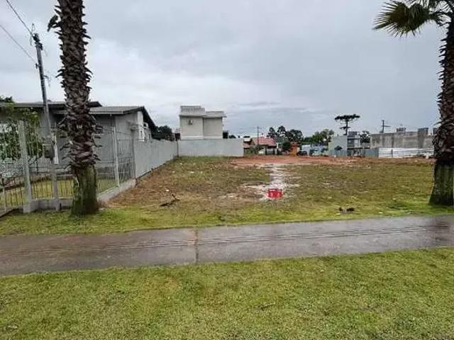 Terreno / Lote para Venda em Viamão/RS Cocão