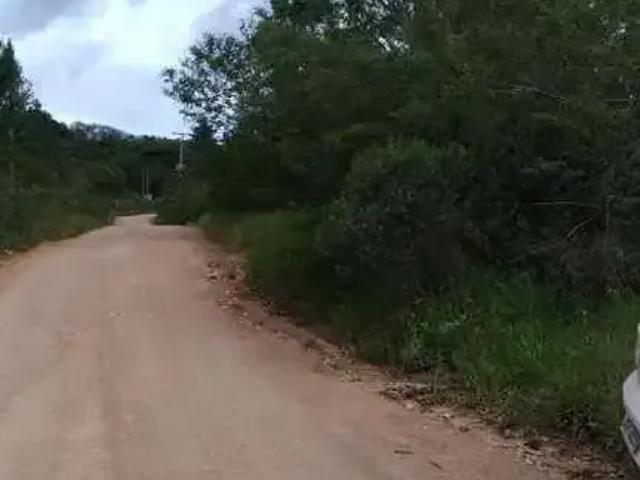 Terreno / Lote para Venda em Viamão/RS Espigão