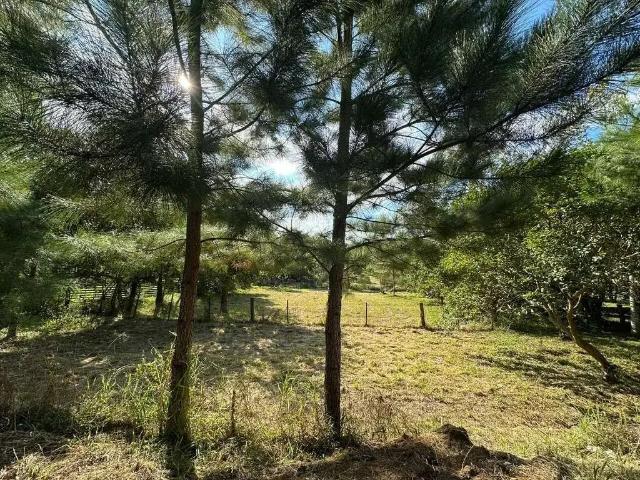 Terreno / Lote para Venda em Viamão/RS Fiuza