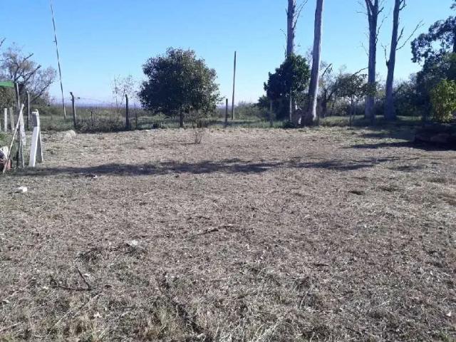 Terreno / Lote para Venda em Viamão/RS Itapuã