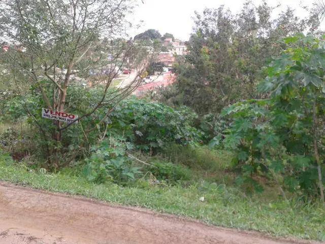 Terreno / Lote para Venda em Viamão/RS Jardim Krahe