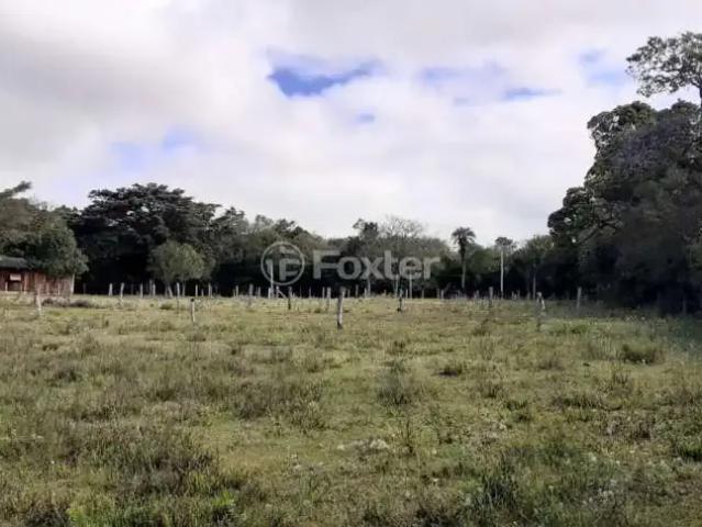 Terreno / Lote para Venda em Viamão/RS Morro Grande