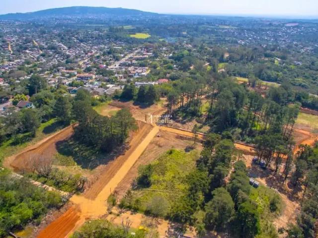 Terreno / Lote para Venda em Viamão/RS São Lucas
