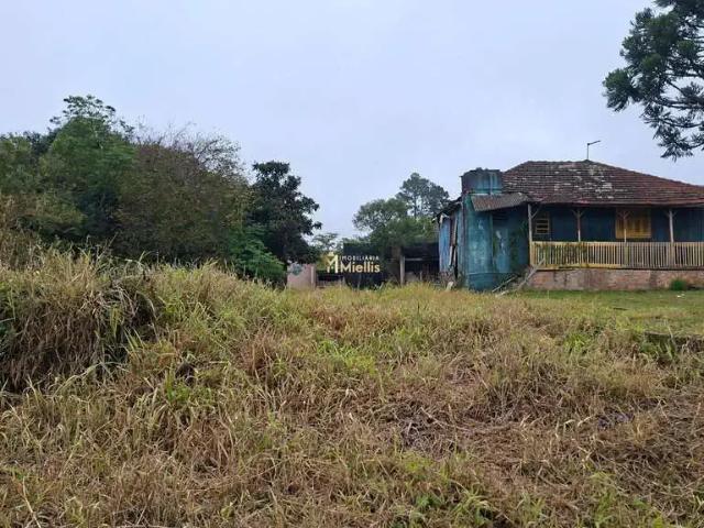 Terreno / Lote para Venda em Viamão/RS São Tomé