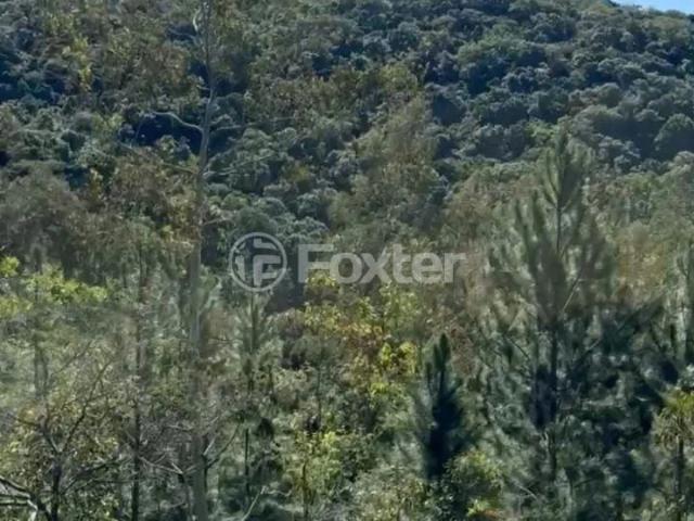 Terreno / Lote para Venda em Viamão/RS Santa Isabel