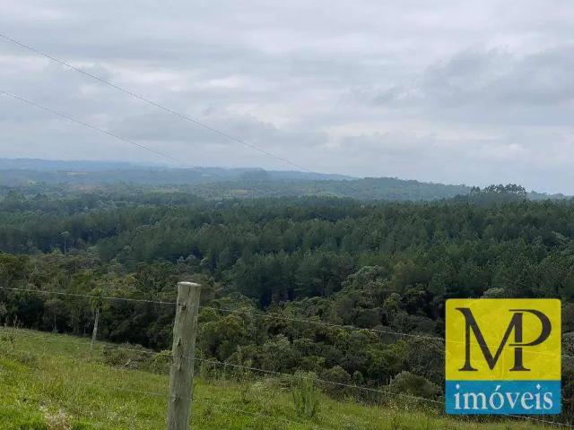 Terreno / Lote para Venda em Vidal Ramos/SC São Domingos