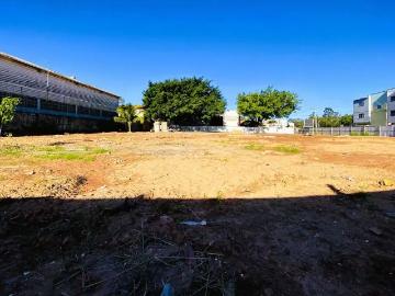 Terreno / Lote para Venda em Vila Velha/ES Santa Paula