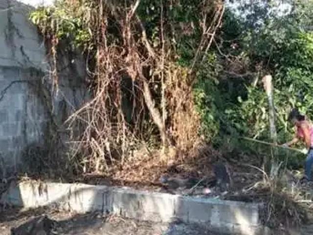 Terreno / Lote para Venda em Vila Velha/ES Santa Paula