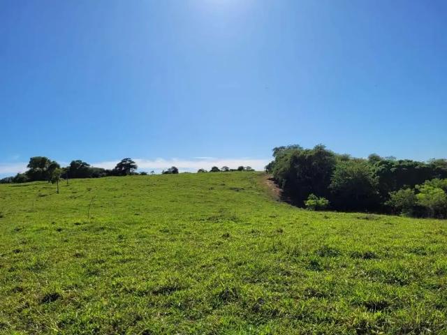 Terreno / Lote para Venda em Vila Velha/ES Xurí