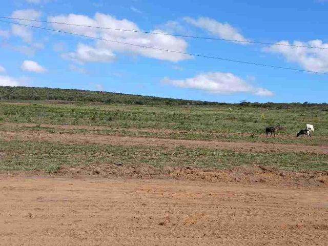 Terreno / Lote para Venda em Vitória da Conquista/BA Primavera