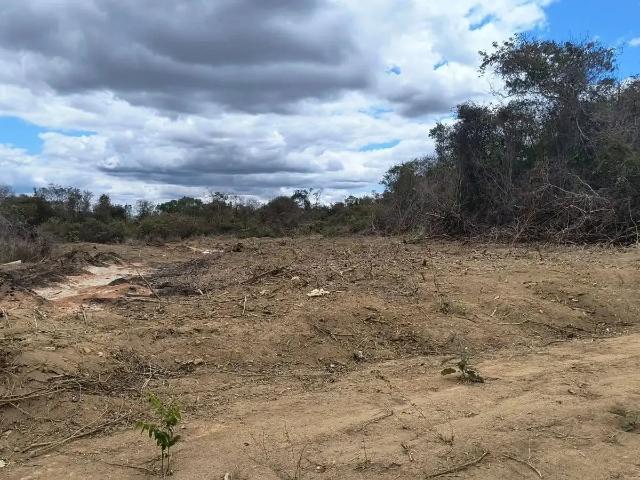 Terreno / Lote para Venda em Vitória da Conquista/BA Universidade