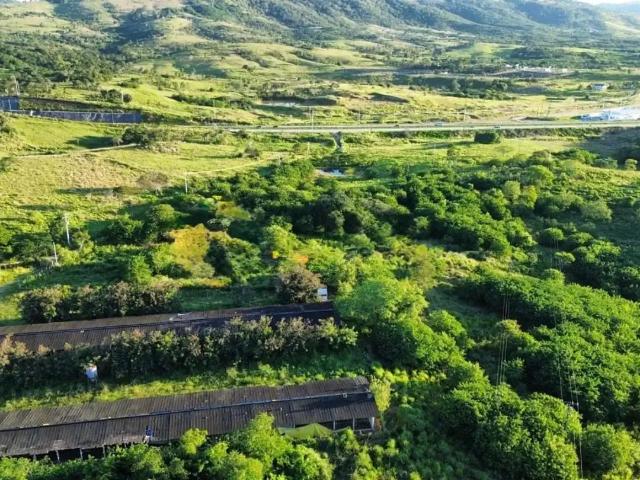 Terreno / Lote para Venda em Vitória de Santo Antão/PE Área Rural de Vitória do Santo Antão