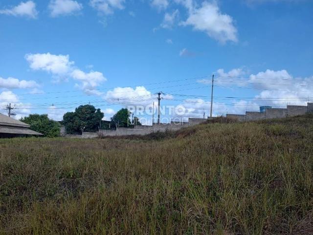 Terreno / Lote para Venda em Vitória de Santo Antão/PE Redenção