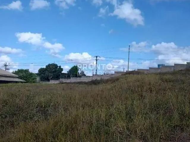Terreno / Lote para Venda em Vitória de Santo Antão/PE Redenção