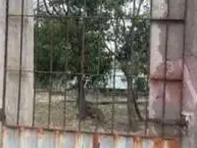 Terreno / Lote para Venda em Vitória/ES Ilha do Frade