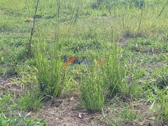 Terreno / Lote para Venda em Volta Redonda/RJ Jardim Belvedere