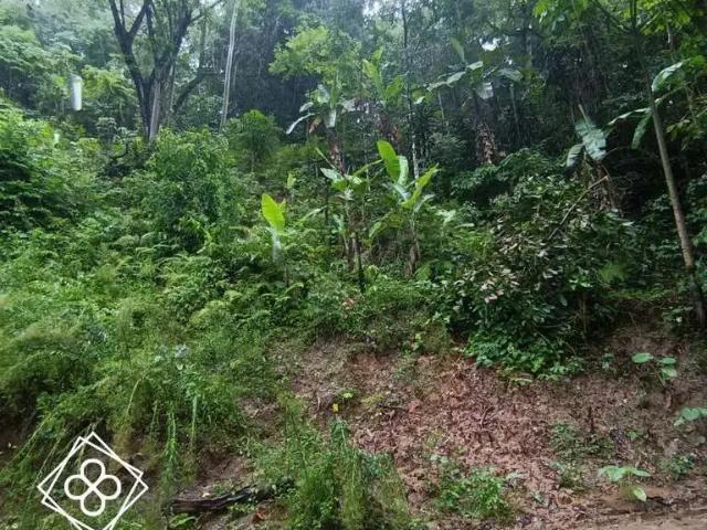 Terreno / Lote para Venda em Volta Redonda/RJ Retiro